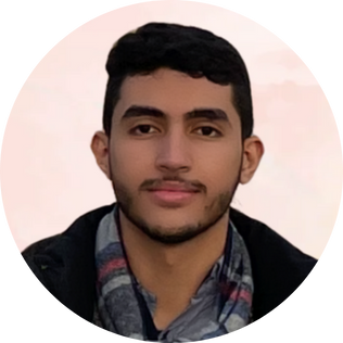 Dr. Mohamed Essam Hashim